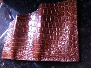 Alligator Trifold